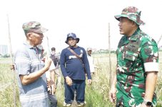 Mendengar keluhan petani di Rorotan Dandim 0502 Jakarta Utara Tinjau ke Sawah