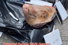 Kembali Jurnalis di Teror