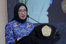 Hindari arus balik membludak Menteri PANRB terapkan FWA