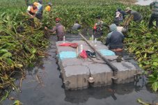 Dukung ketahanan pangan, Poktan Karya Usaha adakan kerja bakti
