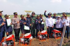 Tanam padi serentak di Rorotan , Jakarta Utara ikut serta dukung swasembada pangan