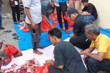 Koperasi KS TKBM Pelabuhan Tanjung Priok bagikan daging qurban