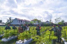 Pentingnya Program Ketahanan Pangan, Dandim 1710/Mimika Tinjau Petani Binaan