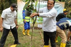 Hulu untuk Masa Depan: Menteri LH Tanam Pohon di Arboretum Sumber Brantas