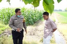 Kunjungan ini merupakan bagian dari peran aktif Polisi cinta petani dalam mendorong kemandirian dan produktivitas masyarakat