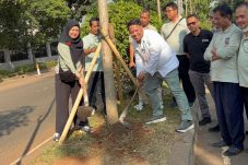 Sudin Tamhut Jakarta Barat gencar tanama pohon Tebebuya