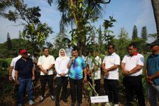 Harlah Kejaksaan ke 80 di tandai tanam pohon