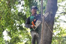 Posko Pohon Tumbang Jakarta Utara siaga 24 Jam antisipasi Cuaca Ekstrem