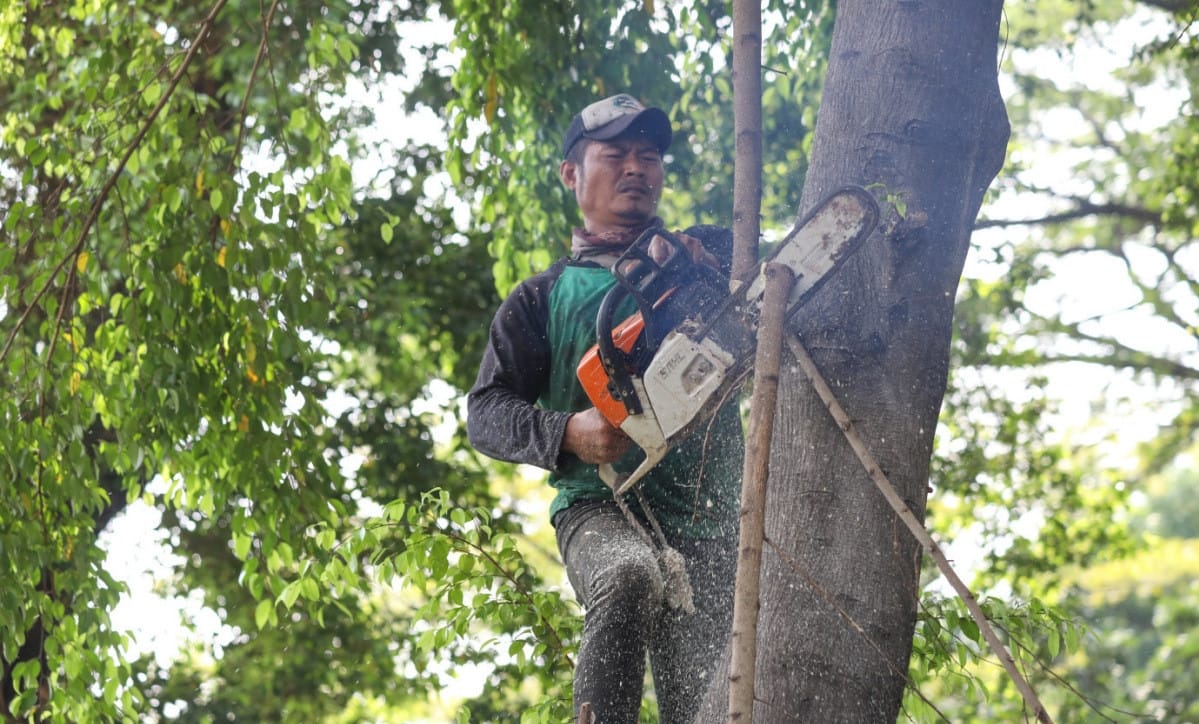 Posko Pohon Tumbang Jakarta Utara siaga 24 Jam antisipasi Cuaca Ekstrem