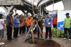 Penataan jalur hijau di bawah Tol Akses Tanjung Priok Segmen 1 dilakukan di atas lahan seluas 1.474 meter