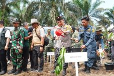 Pemulihan Taman Nasional Tesso Nilo Di awali dengan Penumbangan Kebun Sawit disaksikan Wamenhut