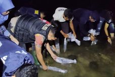 Polres Metro Tangerang Kota Lepasliarkan Ribuan Benih Lobster Hasil Ungkap Kasus Perikanan