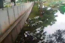 Proyek Mubazir” DPRD DKI: Akan Mempertanyakan Kegiatan Dinas Pertamanan Terkait Proyek TPU Budhi Darma