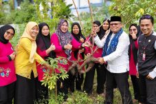 Dukung Ketahanan Pangan Warga TP PKK Pulau Untung Jawa Panen Singkong