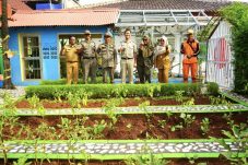 Kelurahan Marunda Ubah Lingkungan Kantornya Jadi Kawasan Agrowisata
