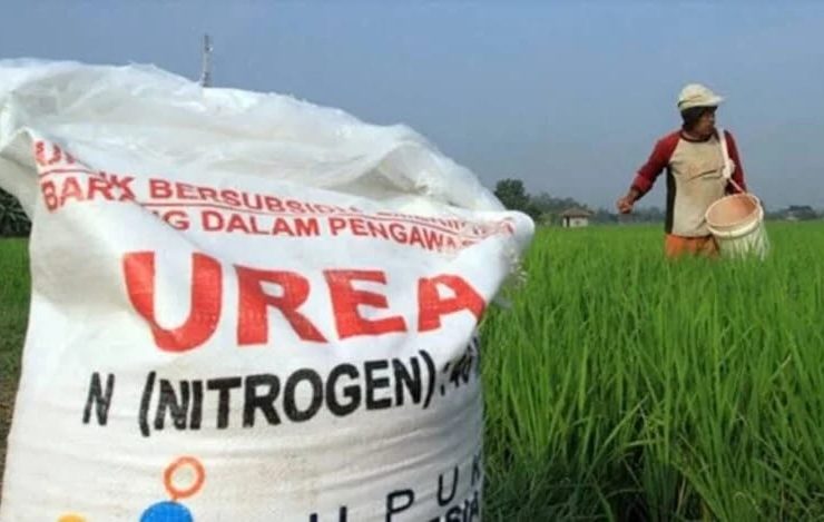 Kuota Pupuk Bersubsidi 2026 bisa di cek secara Online, ini jadwal dan cara penyalurannya