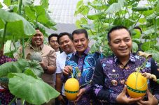 Bupati Tangerang Resmikan “Melenial Hydrofarm”, Dorong Lahan Tidur Jadi Sentra Melon Hidroponik