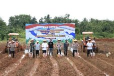 Kapolda Banten: Penyerapan Jagung oleh Bulog Tembus 2.997 Ton di 2025