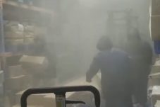 Gudings Disorot! PT Alidaya Sebut Penahanan 5 Ton Ayam Langgar SOP dan Hukum
