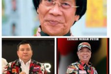 Kak Seto Akan Dampingi Murid Yang Dapat Ancaman Seorang Pimpinan Tempat Kursus Les Bahasa Inggris