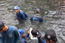 Pramono Akan Tugaskan PJLP Khusus untuk Mengurangi Dominasi Ikan Sapu-sapu di Sungai dan Selokan
