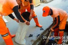 PPSU Kelurahan Kamal Muara lakukan penataan lingkungan dan Pemilihan Sampah