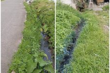Tertinggal dari Desa Lain, Warga Bayur Rawa Bambu Tagih Janji Pembangunan Infrastruktur
