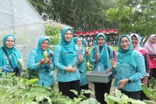 Ketua TP PKK Kepulauan Seribu Tanam Jagung-Kangkung di Pulau Pramuka, Ajak Warga Manfaatkan Pekarangan