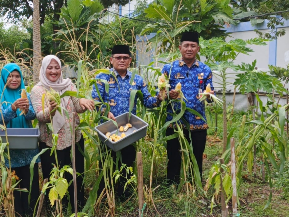 Panen Jagung Bersama di Pulau Untung Jawa, Dorong Ketahanan Pangan dan Penghijauan