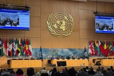 Status Pekerja Platform Jadi Perang Wacana di Forum ILO Jenewa 2026