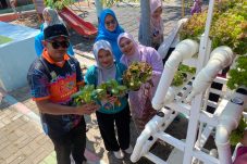 Lurah Pulau Harapan: Kebun RPTRA Jadi Edukasi dan Solusi Ketahanan Pangan Warga