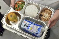 Hari Pertama Sekolah, Makan Bergizi Gratis Kembali Disalurkan ke Siswa di Seluruh Indonesia