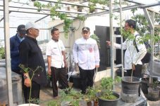 Pemerintah Kota Jakarta Utara Optimalkan Persiapan Program Kampung Iklim Nasional