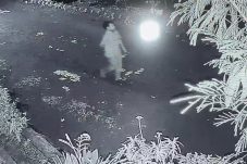 Terekam CCTV, Maling Motor di Karang Tengah Tak Berkutik Saat Diciduk Polisi