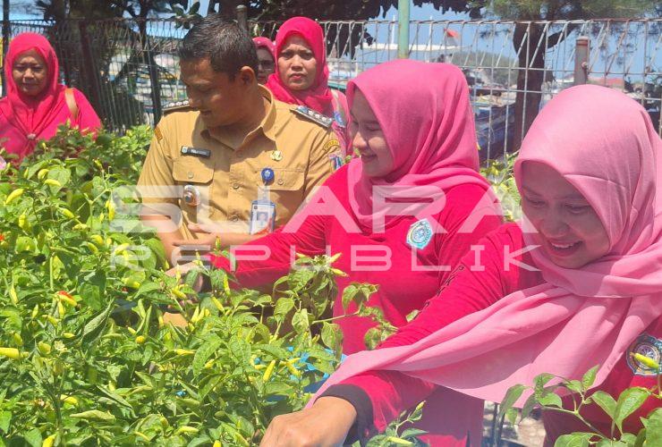 RPTRA Arung Palakka Panen Cabai, Bukti Lahan Produktif Bermanfaat Ekonomi