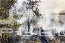KLH Instruksikan 6 Gubernur Perketat Penanganan Karhutla di Tengah Ancaman El Nino 2026