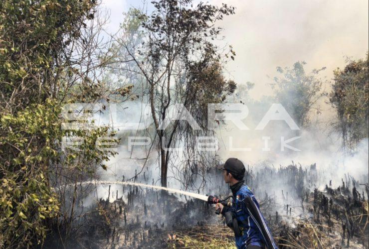 KLH Instruksikan 6 Gubernur Perketat Penanganan Karhutla di Tengah Ancaman El Nino 2026