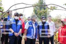 27.333 Hektare Terbakar: KLH Segel 36 Perusahaan di Kalimantan dan 14 di Sumatera