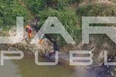 DLH Kota Bekasi Telusuri Dugaan Pencemaran Kali Bekasi Usai Ikan Sapu-Sapu Mati