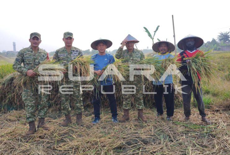 Panen Raya Padi, Kodim 0506/Tgr Wujudkan Swasembada Pangan