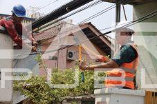 Tri Adhianto Tertibkan Kabel Semrawut di Jalan Pangeran Jayakarta Bekasi, Siapkan Sistem Ducting