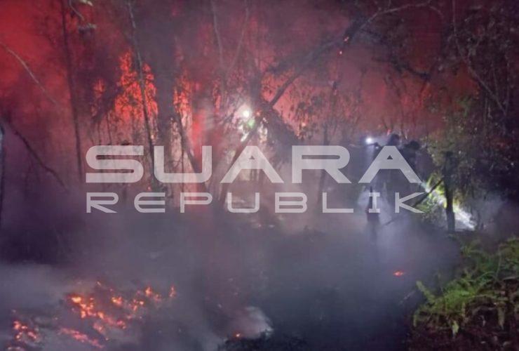 Walhi-Greenpeace Desak Pemerintah Tindak Tegas Korporasi Terkait Karhutla